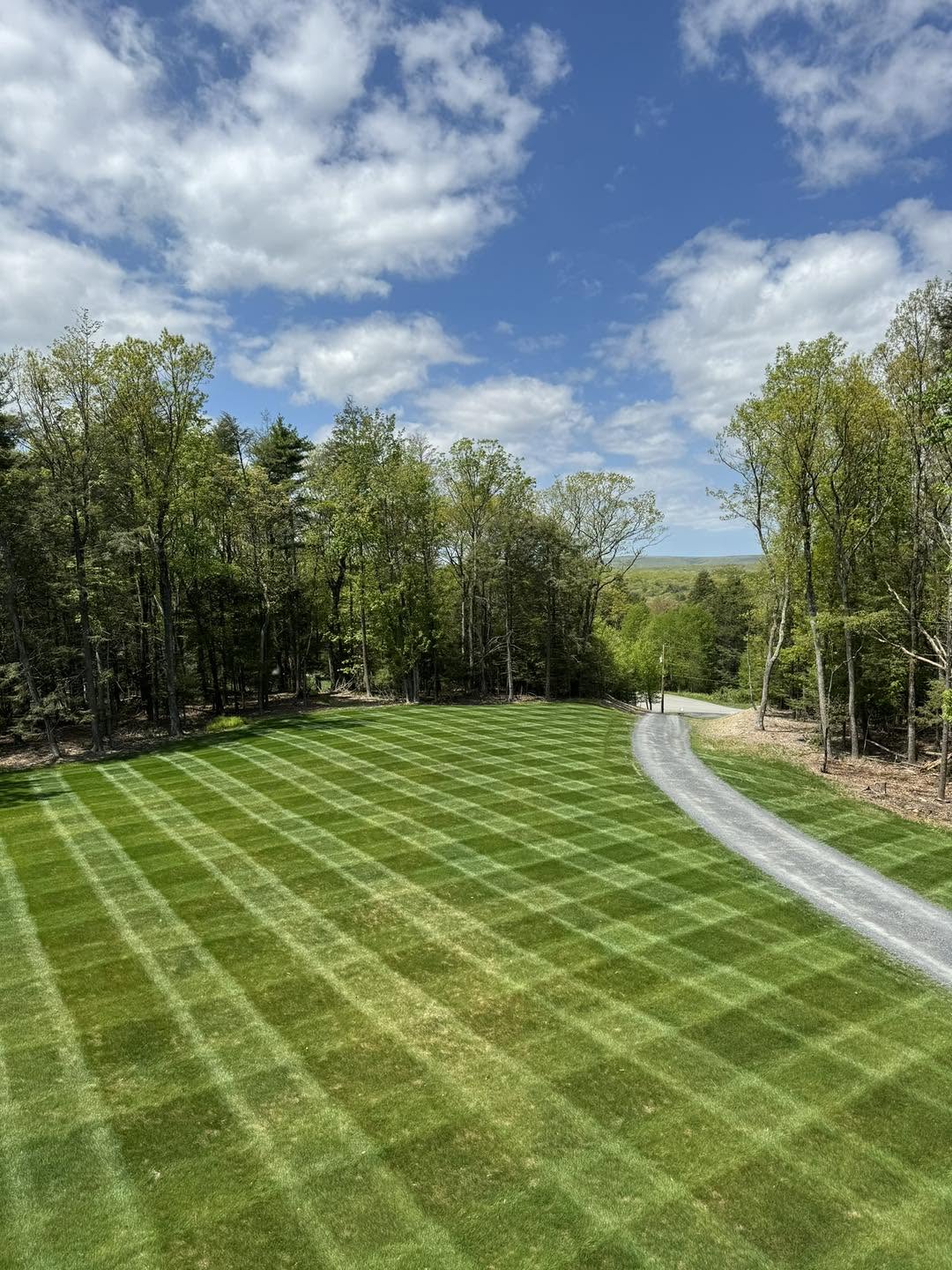 Freshly mowed lawn with crosshatch striping pattern bordered by trees